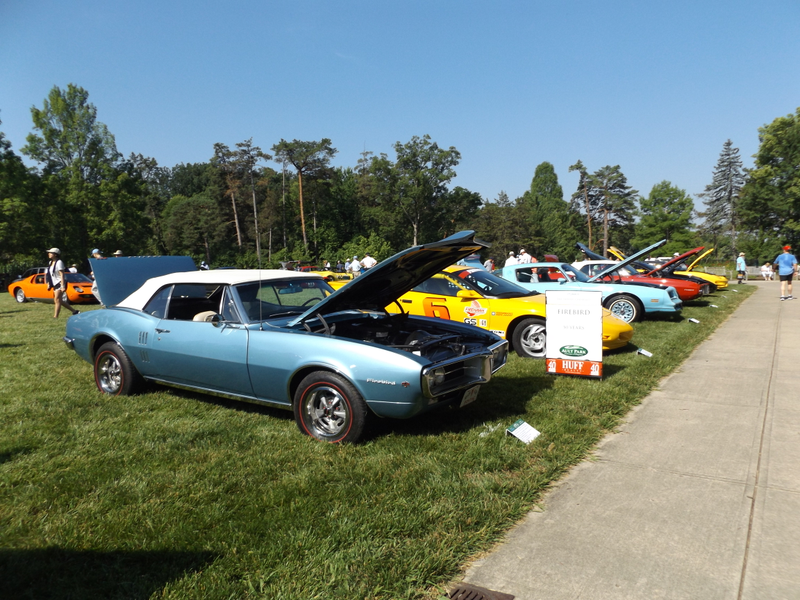 Illustration for article titled Ault Park Concours 2017